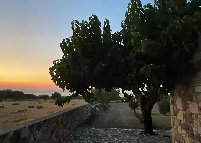 The Stone Kos Holiday home