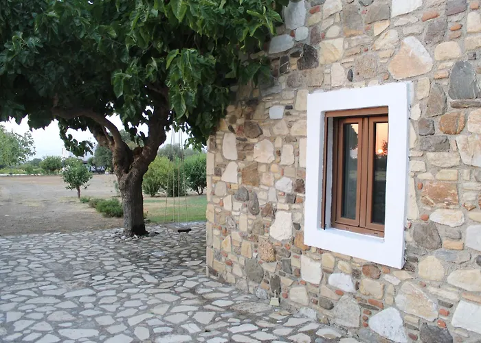 The Stone Kos Ziparion