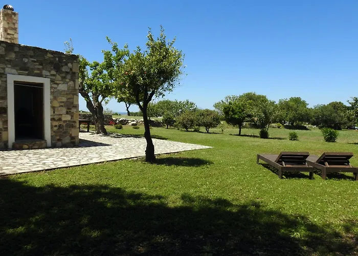 The Stone Kos * Ziparion