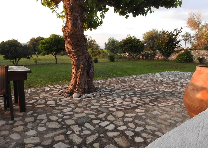 The Stone Kos Ziparion