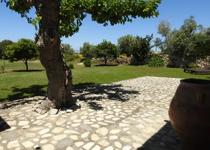 The Stone Kos Holiday home *