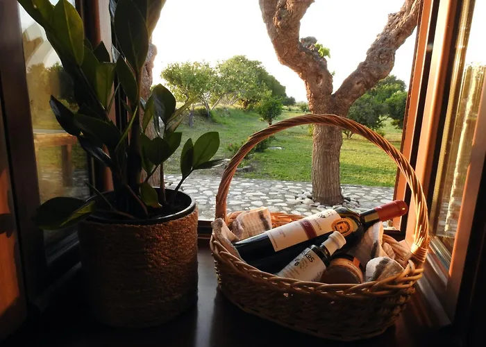 The Stone Kos Ziparion