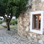 The Stone Kos Ziparion