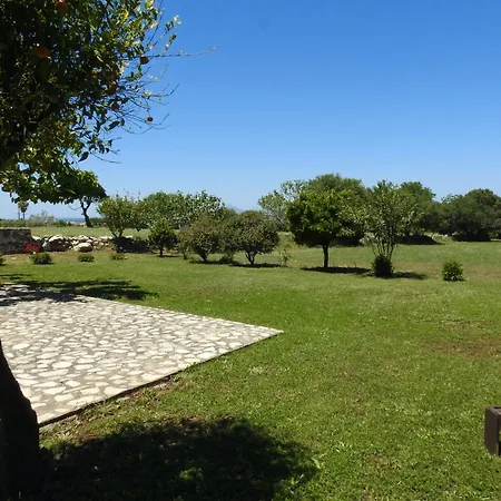 The Stone Kos * Zipárion