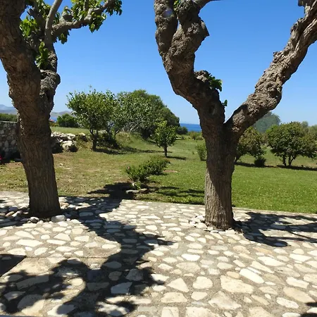 Nyaraló The Stone Kos Zipárion