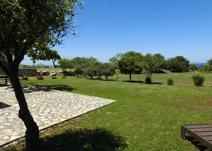 The Stone Kos * Zipárion