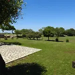 The Stone Kos * Zipárion