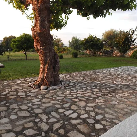 The Stone Kos Zipárion